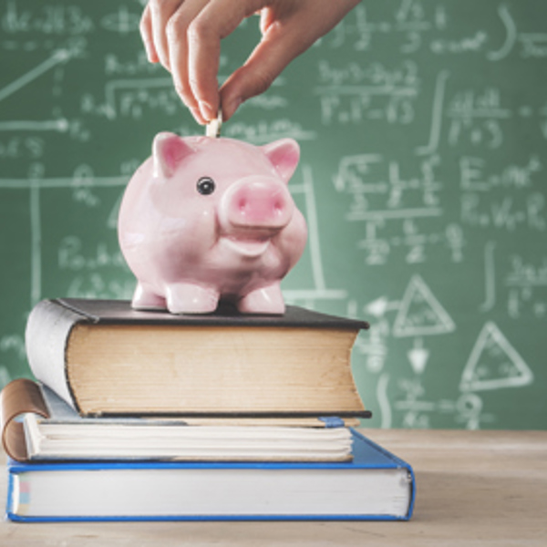 Budget constraints