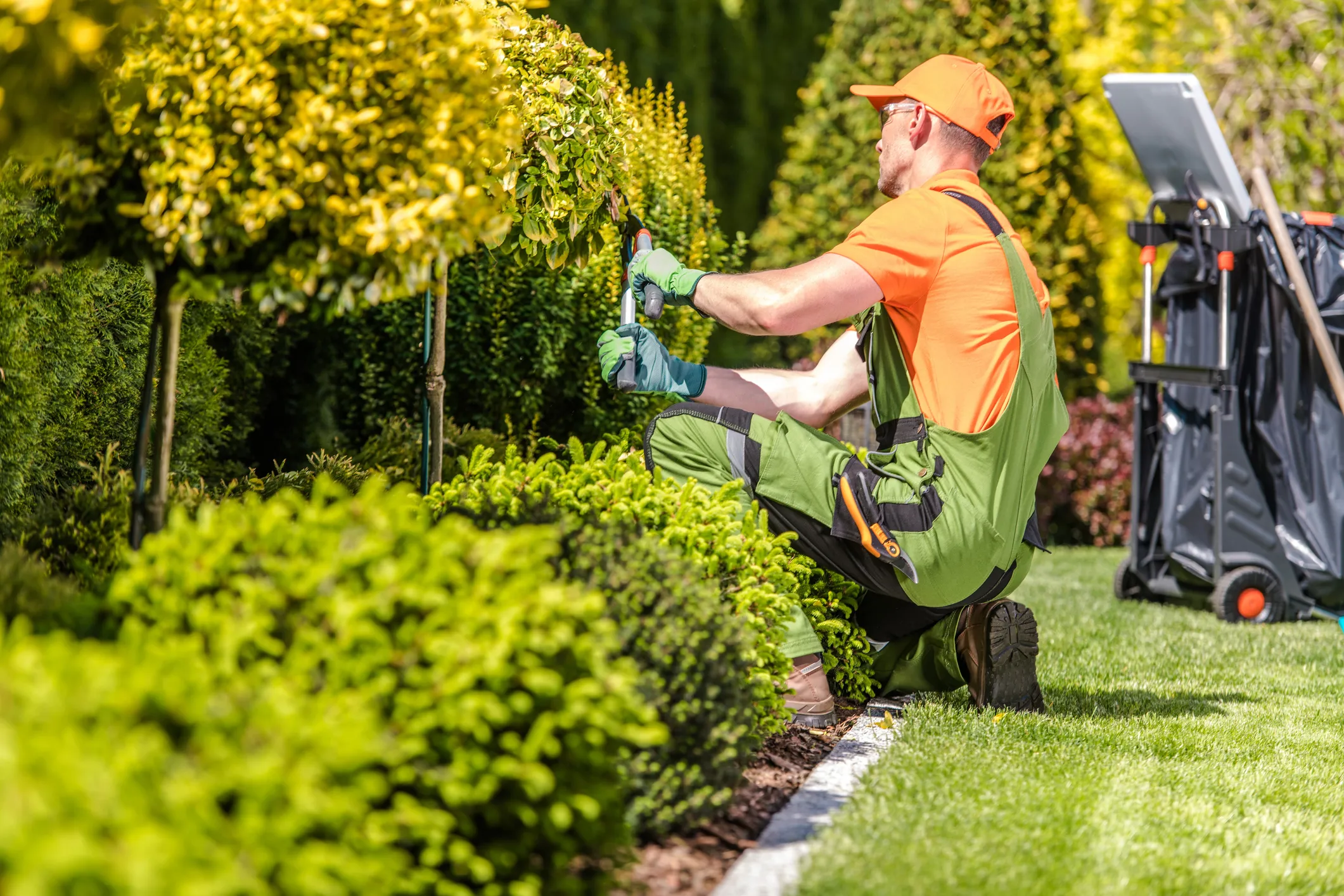 Grounds Maintenance & Associated Services